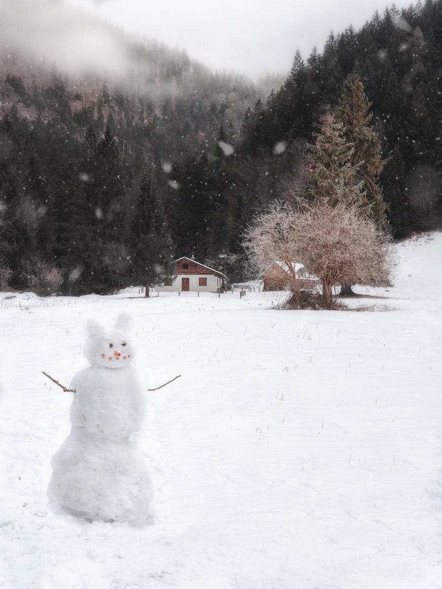 classmunity's tweet image. Happy Friday everyone, we hope you enjoy your weekend and spend quality time with your neighborhood snowman! Who knows, you might actually have fun!
