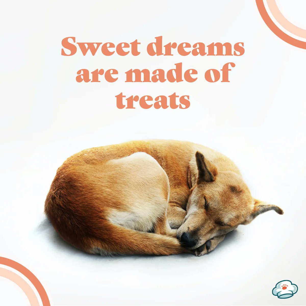 HeyPupChef's tweet image. Who am I to disagree?