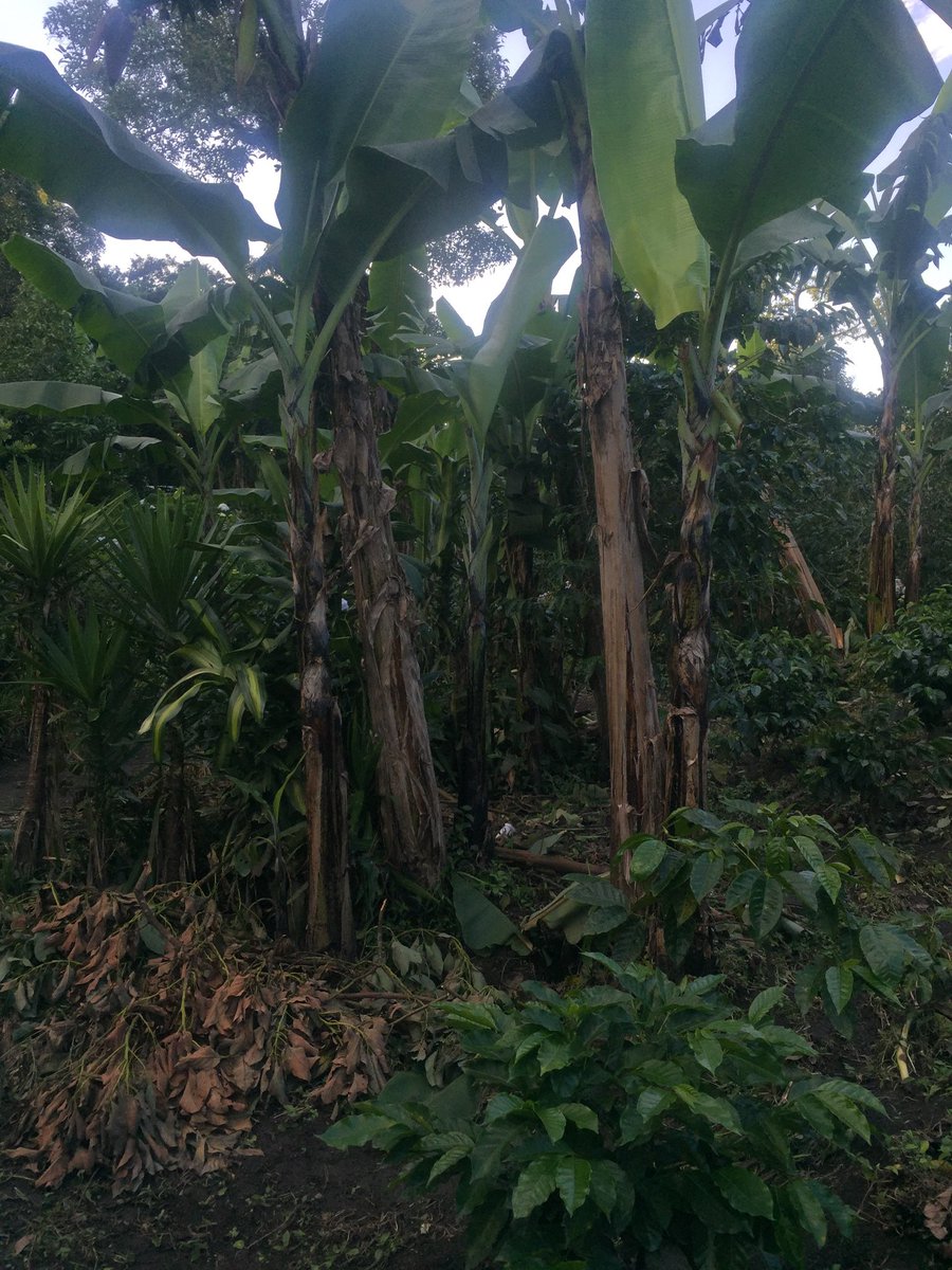 deepyuck's tweet image. What weird life sometimes.