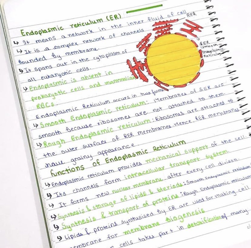Studyhacks101's tweet image. :) 11.12.2021✨