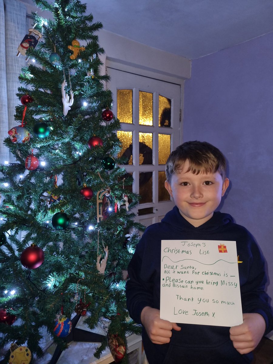 Rachel Lilley #FindMissyandBiscuit tweet media