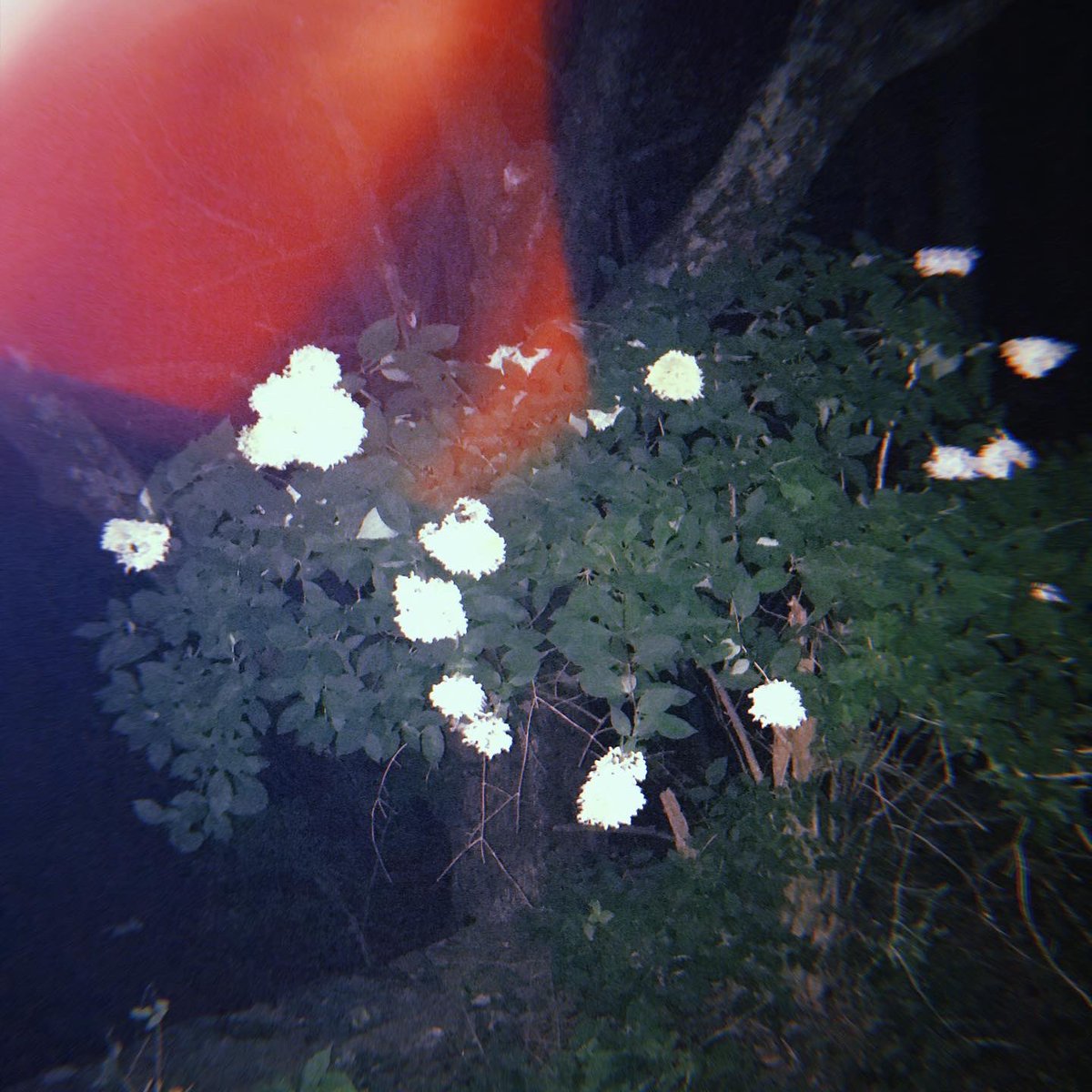 jawsofyou tweet media