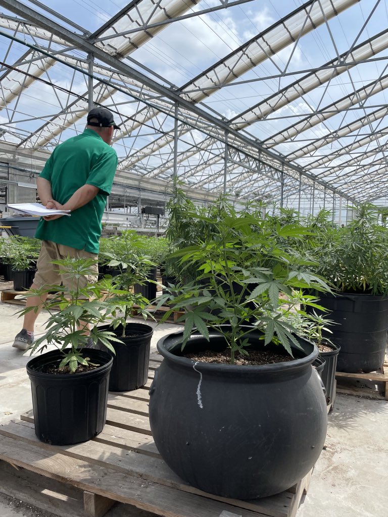 cignfarm's tweet photo. Discussing our goals for 2022 💭 What are yours? 🧐
•
#wholesalehemp #wholesalecbd #floridacbd #floridahemp #miamicbd #miamihemp #cultivation #cign https://t.co/V7E4x0mqPR