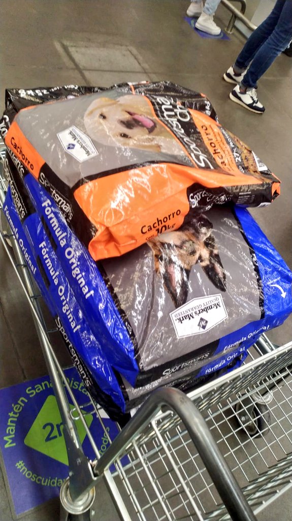 FundacionToby's tweet photo. Gracias a sus donaciones pudimos comprar las croquetas del fin de semana, así podemos concentrarnos en seguir juntando para Lucho y Bruce. 

Los amamos

- BANCOMER
Cuenta: 0117412991
Clabe: 012180001174129915
Tarjeta: 4555113008742068

- Paypal
https://t.co/qCuOnglYHB https://t.co/oDAdk337kX