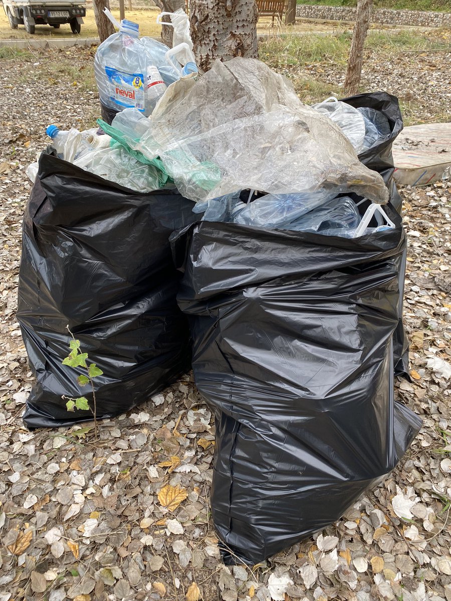Cada viernes que paseamos con el cole por las vías cercanas al Segura, nos encontramos montañas de basura como la que se ve en la foto. 

Parece una broma macabra pero es cierto.

Viendo la poca acción de <a href="/mucsostenible/">Murcia Ciudad Sostenible</a>, nos hemos puesto manos a la obra una vez más.