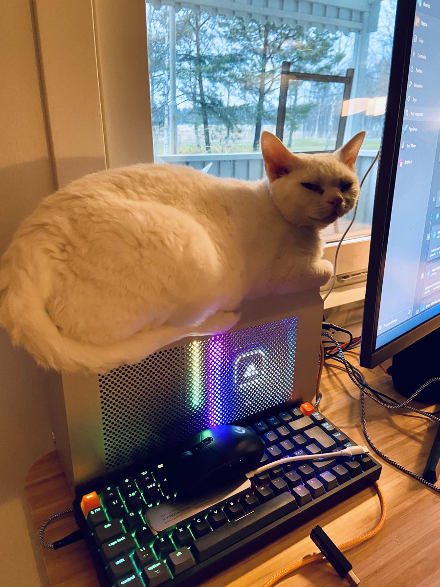 What should the solution be?

a. Kitty go on a diet
b. Get a bigger case
c. Perfect the way it is

#PC #gamer #cat #catlover #Kitty
