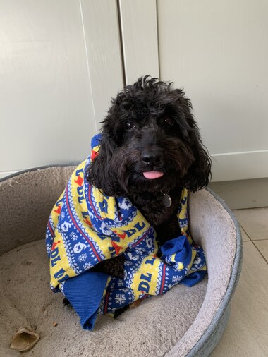 #ChristmasJumperDay <a href="/savechildrenuk/">Save the Children UK</a>