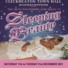 Northern Lights Actors Management tweet media