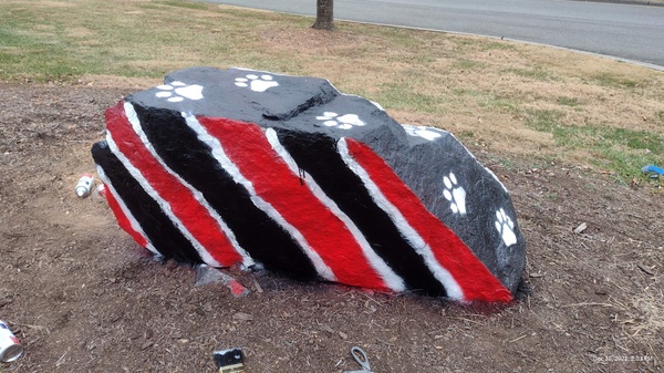 yecnhs's tweet photo. NHS is proud to be the first to paint the YEC Spirit Rock! 

Good luck with exams, Wolves! https://t.co/j8EbalCyBu