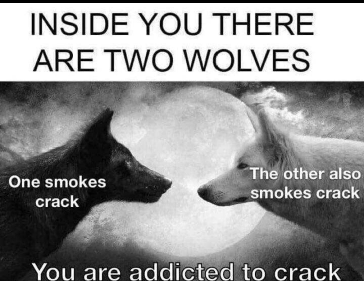 gus (@goettems1) on Twitter photo 