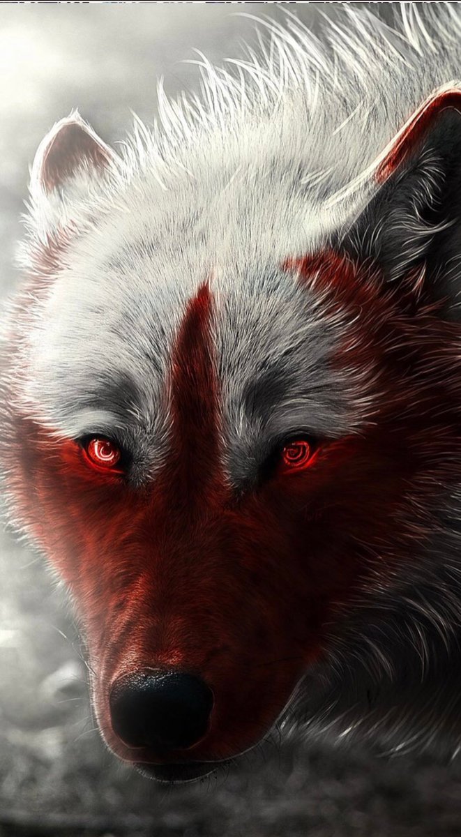 BigBadMarko's tweet photo. Nearly doubled my #Saitama bag during this dip! Can you hear me #SaitamaWolfPack‌‌‌‌? 🐺🐺🐺🐺🐺
Awoooooooo!!!!!! 🚀🚀🚀📈📈📈
@InuSaitama $Saita #PackingBags https://t.co/Glnh49zzRr