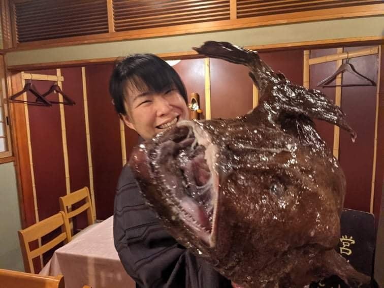 鮟鱇 Twitter Search Twitter