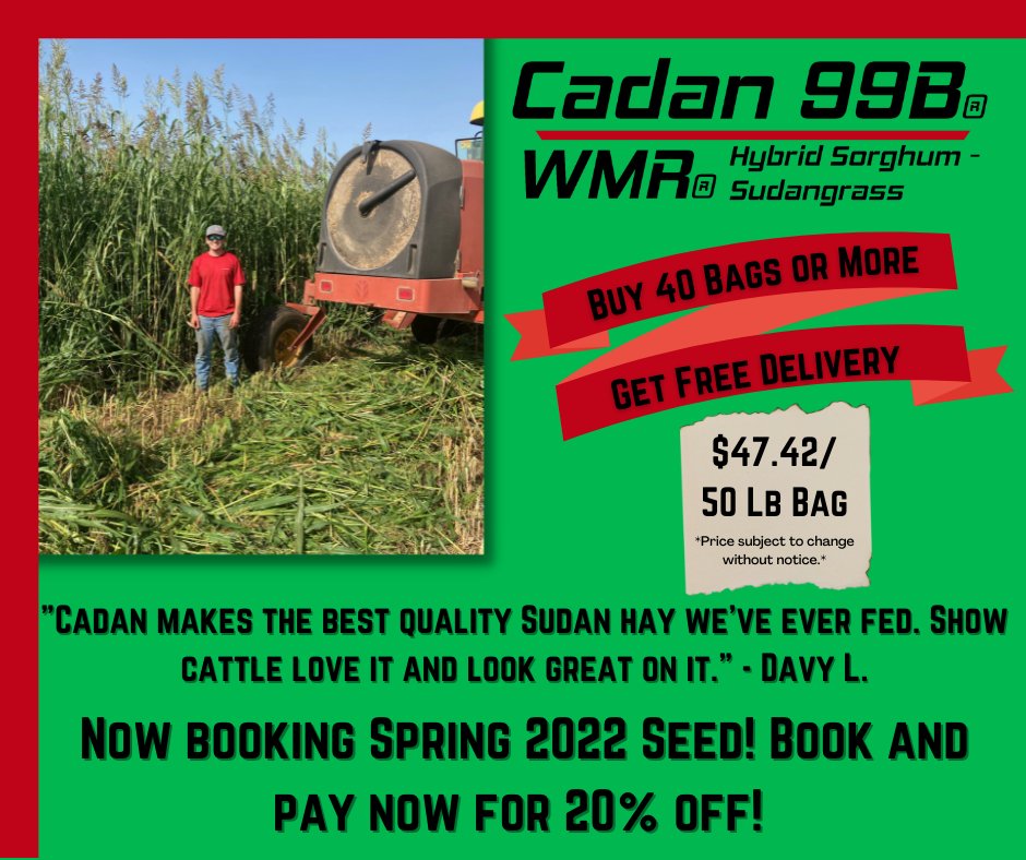 BrowningSeed's tweet photo. Spring planting is right around the corner!
To early book your sorghum-sudangrass hybrid seed for Spring 2022 call us @ 806-293-5271 
For more product information visit https://t.co/Qk7WfN3N1G https://t.co/hT7qXewdTj