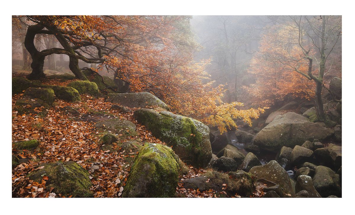 Autumn in the gorge. #autumncolour #peakdistrict #landscapephotography #outdoorphotography