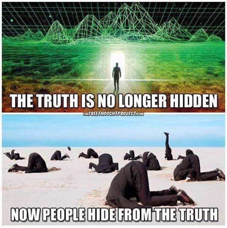 Hiding meme. Hide meme. Hiding from the Truth. Hidden people. The Truth is no longer hidden Now people are hiding from the Truth.