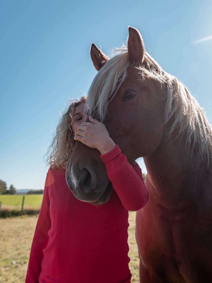 Passion poney sur la route des Chalots dans les Vosges du sud chez <a href="/Luxeuiltourisme/">Office de Tourisme</a> : une jolie halte câlins avec ânes et chevaux à la ferme du Paquis.
📸 <a href="/Foehn_Photo/">Marion C. 🦊</a> 
#Vosges #hautesaone #france
