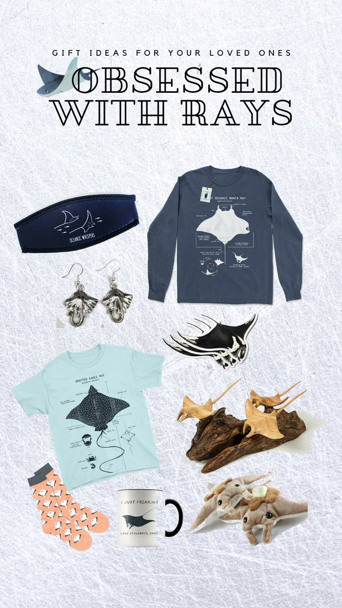 mcmsharksxx's tweet photo. Happy #FlatSharkFriday! Stuck on some last-minute holiday gifts for those ray-lovers in your life? Have no fear... I've got a few ideas for you: https://t.co/G1MxDlaHOe
P.S. you can always learn about #flatsharks with #TFUI (@finsunited). https://t.co/yWSW9nrW6I