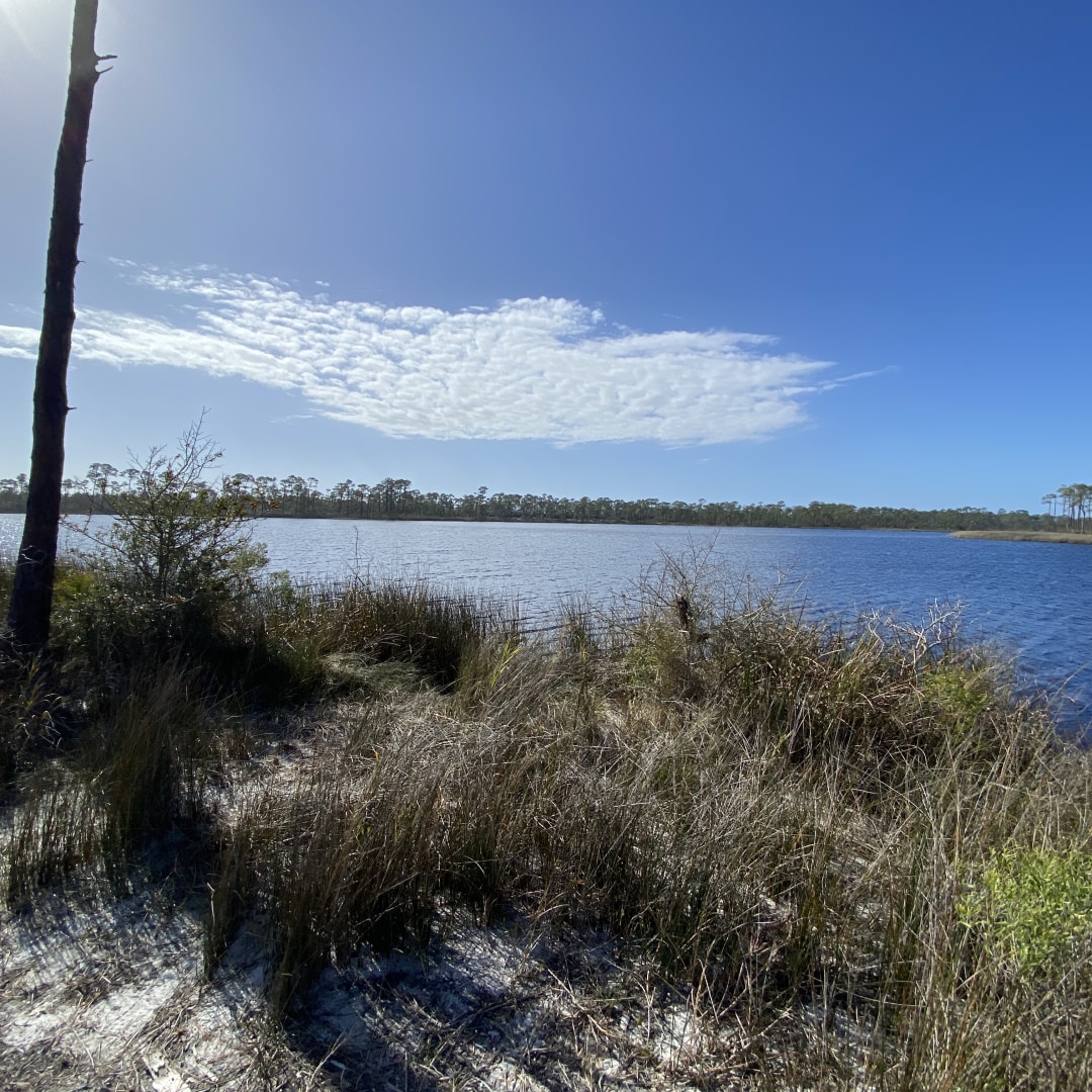 Enjoy hiking and fishing at Bon Secour Wildlife Refuge 

#ALCoastalConnection #ACCbyway #ScenicByway #Byway #CoastalConnection #GulfCoast #AlabamaCoast #TravelAlabama #ExploreAlabama