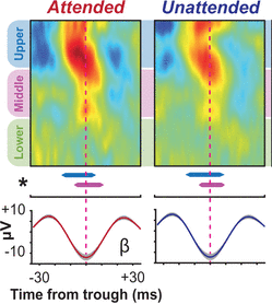 The Schall Lab (@labschall) on Twitter photo See the latest from <a href="/jake_westerberg/">Jake Westerberg</a> with <a href="/E_Sigworth/">Elizabeth Sigworth Westerberg, PhD</a> and <a href="/alexvmaier/">Alex Maier</a> "Pop-out search instigates beta-gated feature selectivity enhancement across V4 layers" pnas.org/content/118/50…
<a href="/vistayorku/">VISTA @ YorkU</a> <a href="/CentreforVisio1/">Centre for Vision Research</a> See the latest from <a href="/jake_westerberg/">Jake Westerberg</a> with <a href="/E_Sigworth/">Elizabeth Sigworth Westerberg, PhD</a> and <a href="/alexvmaier/">Alex Maier</a> "Pop-out search instigates beta-gated feature selectivity enhancement across V4 layers" pnas.org/content/118/50…
<a href="/vistayorku/">VISTA @ YorkU</a> <a href="/CentreforVisio1/">Centre for Vision Research</a>