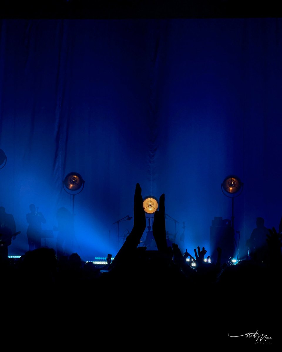 нαρρч ɢıяʟ tweet media