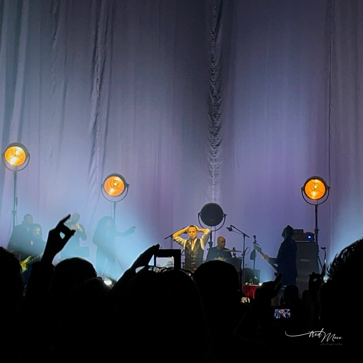 нαρρч ɢıяʟ tweet media