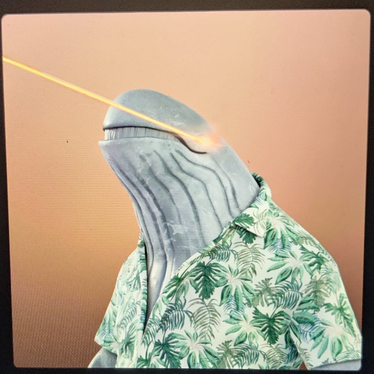 #NewProfilePic