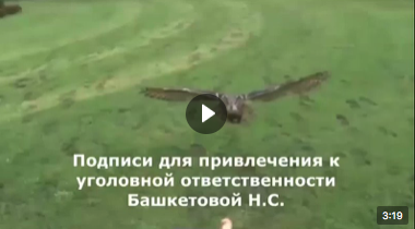 amuseDi's tweet photo. Коллективное заявление о привлечении к уголовной ответственности руководителя Роспотребнадзора г.СПб Башкетовой Н.С. 
Желающие подписать данное заявление свяжитесь с нами в директе или в чате Телеграм https://t.co/Nb7xh5b5tb
#питер #александрия #спб #санктпетербург #родителям https://t.co/ofzmCoGpVL