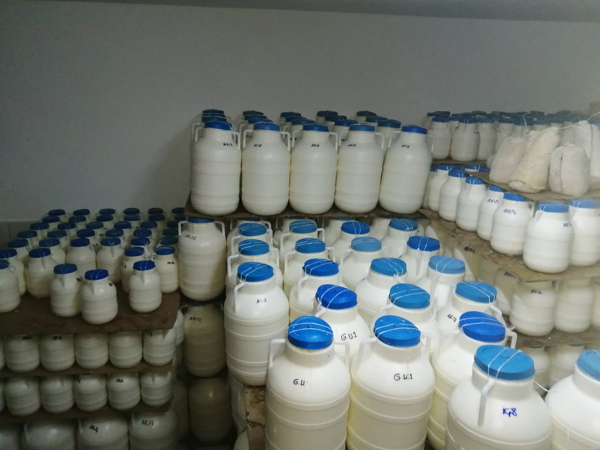 Erzincan tulum peyniri stok yapmıyoruz satıyoruz istiyen varsa 05334494502