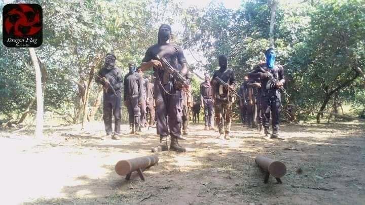 onyii_paul's tweet photo. ESN will be year old in few days please pray for us and we promise to protect our land and no going back https://t.co/THIwfpemAW