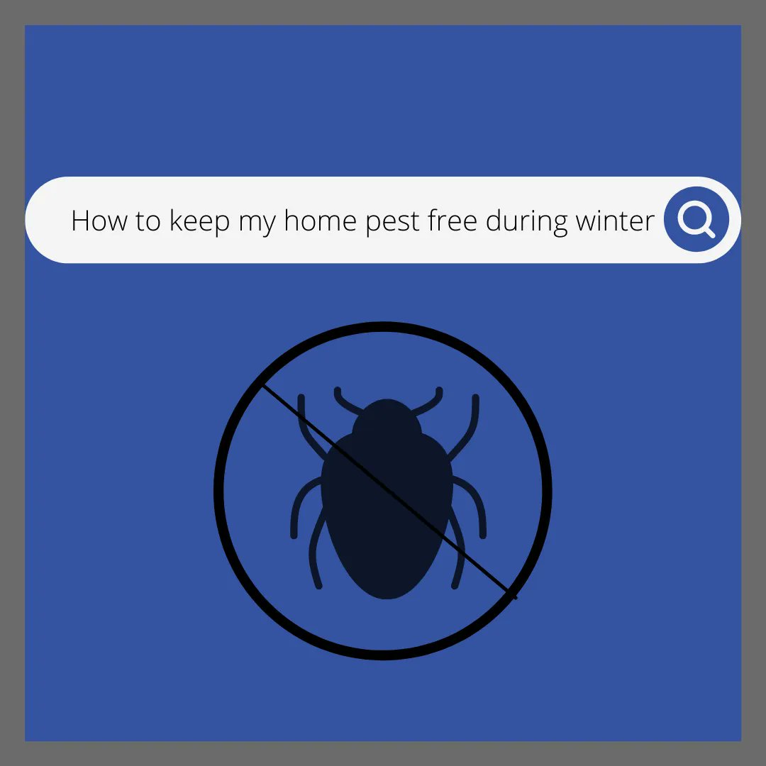 trixpest's tweet photo. Follow these tips to keep your home pest free this winter
1. Seal off any openings or small points of entry
2. Clean up crumbs, spills, and floors and keep all food in air sealed containers
3. Set live or poison free traps
4. Call a professional https://t.co/MndpoCsAvc