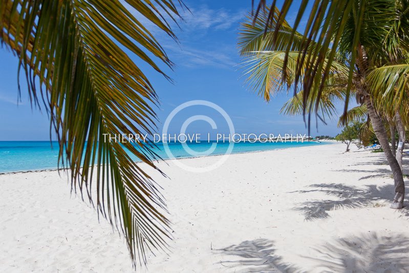 bethanyriskin's tweet photo. @BachPartyPod @julietlitman Let Callie know (and  you) that @Anguilla is the Chanel of beaches, with pure white, CLEAN sand that feels like powdered sugar underfoot, and we have 33 of them—not a single one man made. This is the one my husband and I live on. https://t.co/phevaCVJ4A