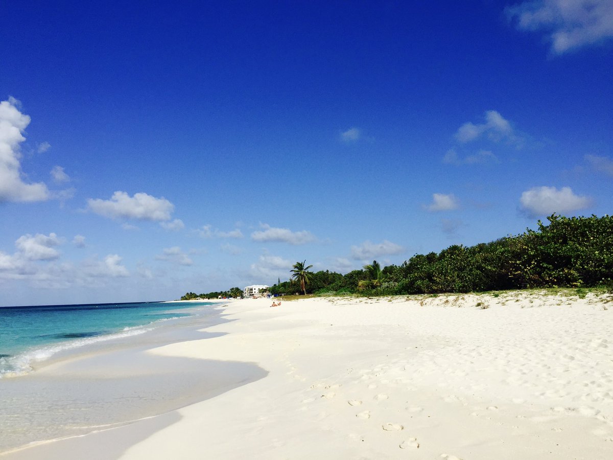 bethanyriskin's tweet photo. @BachPartyPod @julietlitman Let Callie know (and  you) that @Anguilla is the Chanel of beaches, with pure white, CLEAN sand that feels like powdered sugar underfoot, and we have 33 of them—not a single one man made. This is the one my husband and I live on. https://t.co/phevaCVJ4A