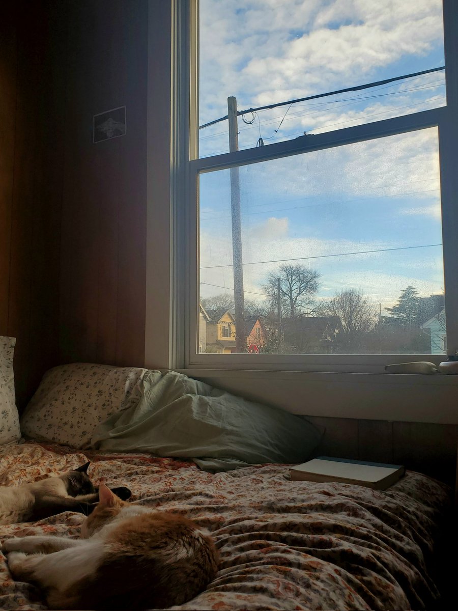 I love mornings