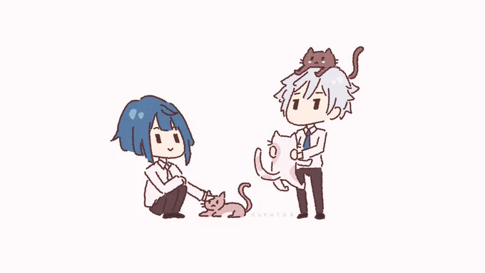 Cats #xingyun 