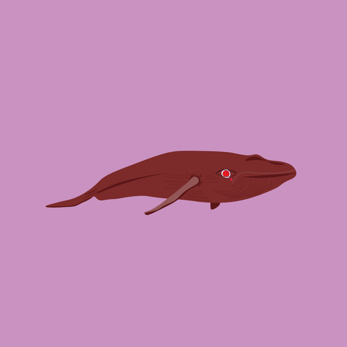 observ_art's tweet photo. FIN WHALE
@byMima00 
1/The idea behind my design comes from something that I really care about: animals.
Due to the climate changes, that constantly destroy and alter their natural habitat, and the human’s badness, several species are at risk of extinction. 
#NFT #NFTCommmunity https://t.co/IvQvjMkrNw