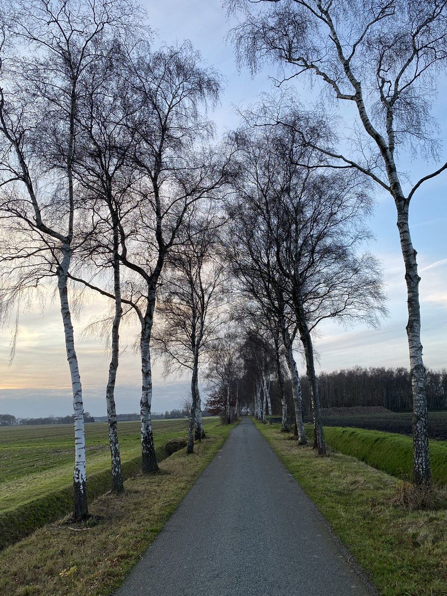mvdh050's tweet photo. Vandaag heerlijk dagje inventariseren met Marjan rondom Kolderveense bovenboer en Zwinderscheveld op zoek naar ontginningsboerderijen. Op menig erf even praatje gemaakt. Beetje plat proat’n is als boerenkleindochter dan best handig 😉. https://t.co/sKd9NXdqpb