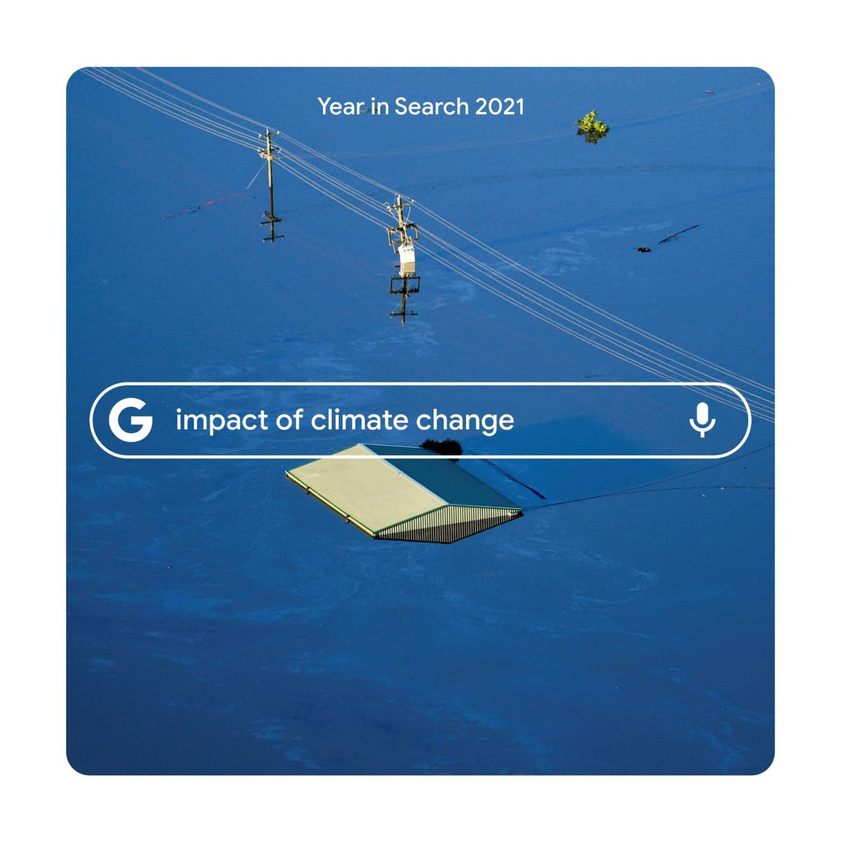 Google's tweet photo. This year, we searched to understand issues bigger than ourselves. Visit https://t.co/uTFTIS2XB4 for a deeper look into this year’s top trends. https://t.co/doNQrP3gVx