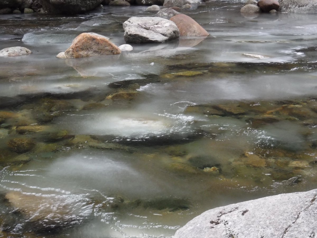 Feeling pretty excited to attend &amp; present at #AGU21 in-person!! If you’re interested in rivers, ice, remote sensing, &amp; ecology, I would love to chat 🛰❄️🌨-  Poster: River ecosystem phenology in an increasingly ice-free world (Monday, B15B-1425)