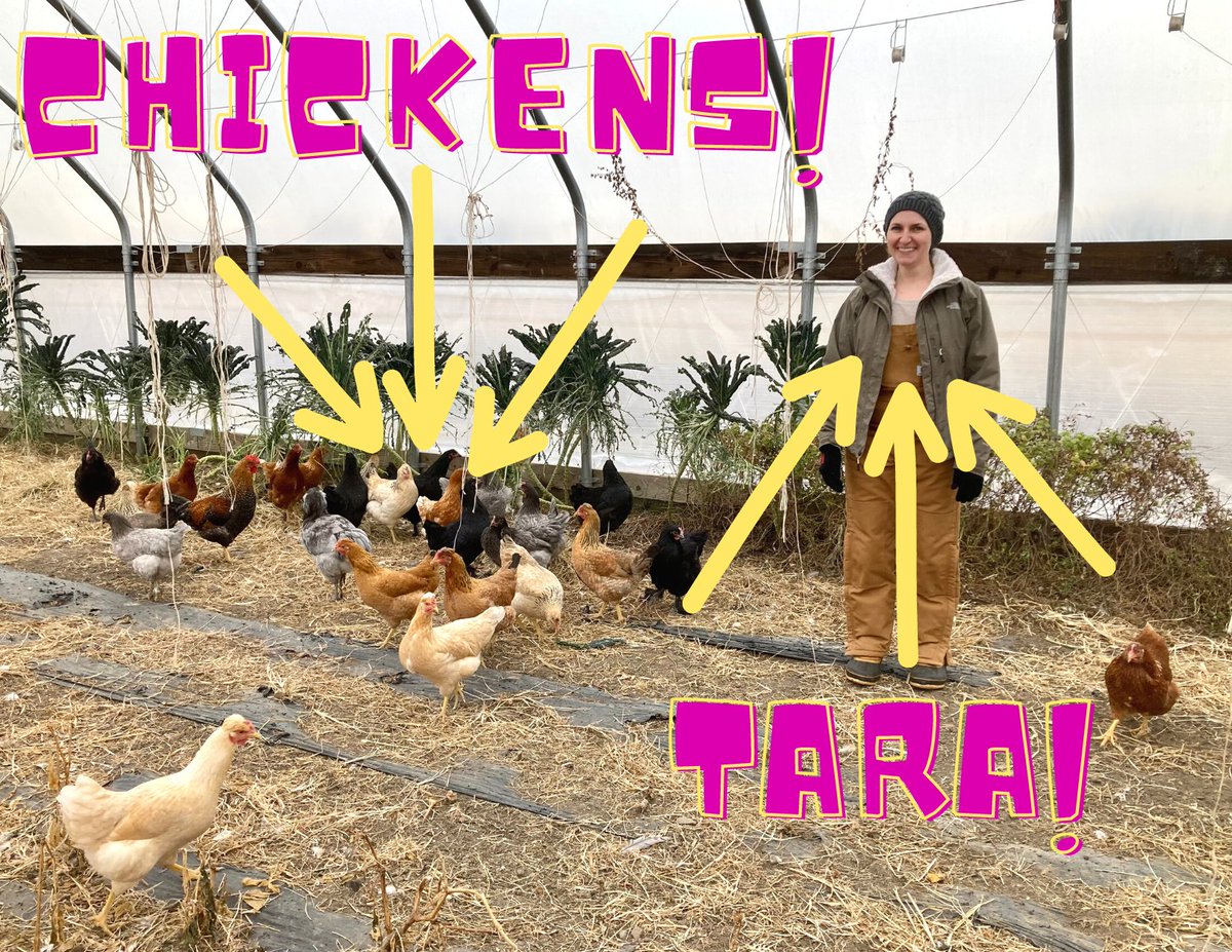 If you like your dietitians hauling winter squash and petting chickens, I'm your gal. Check out Hintz Produce if you're in southeast Nebraska and #lovelocal.