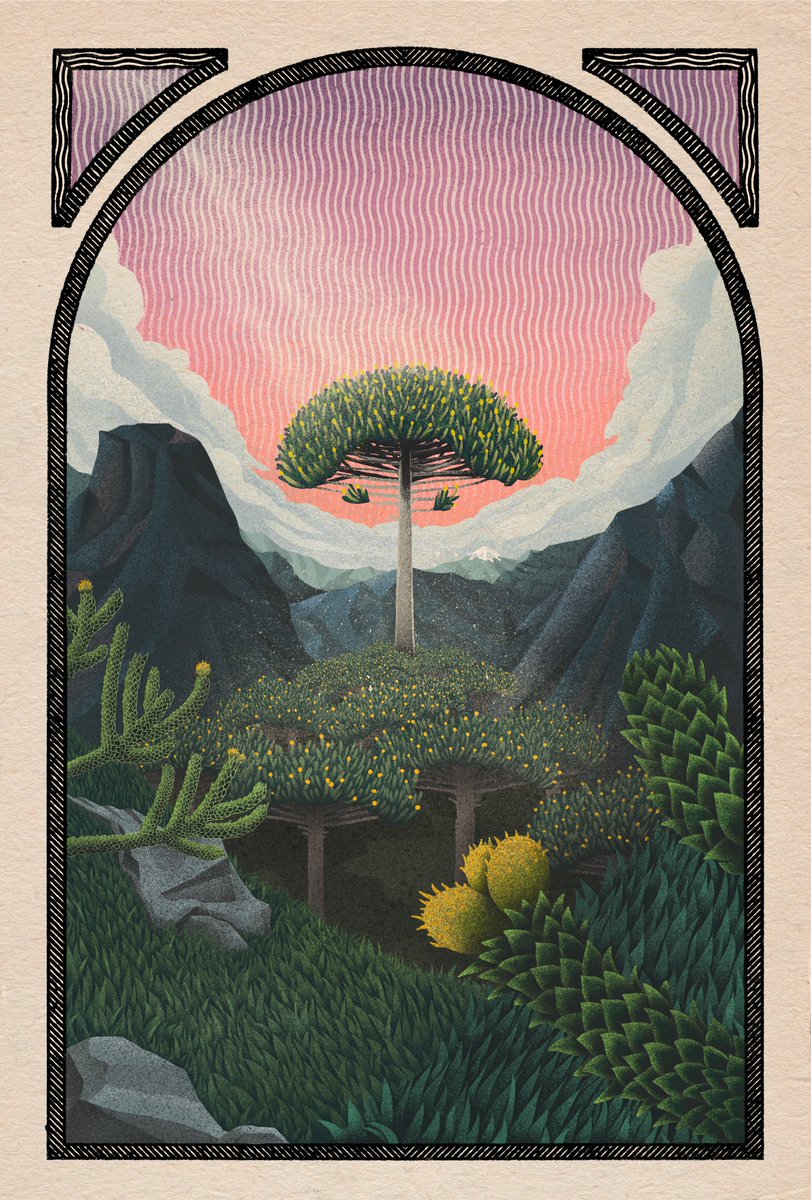 _NESVA's tweet photo. "PEHUÉN" is out there! 
2/8 from the 🌳TREES OF LIFE 🌳series

🔗https://t.co/OPGK4bmP3j
🔗https://t.co/pniejFdvJx

25 ed 3tz 

@onhicetnunc #NFTCommmunity #CleanNFT https://t.co/sai8k4N0az