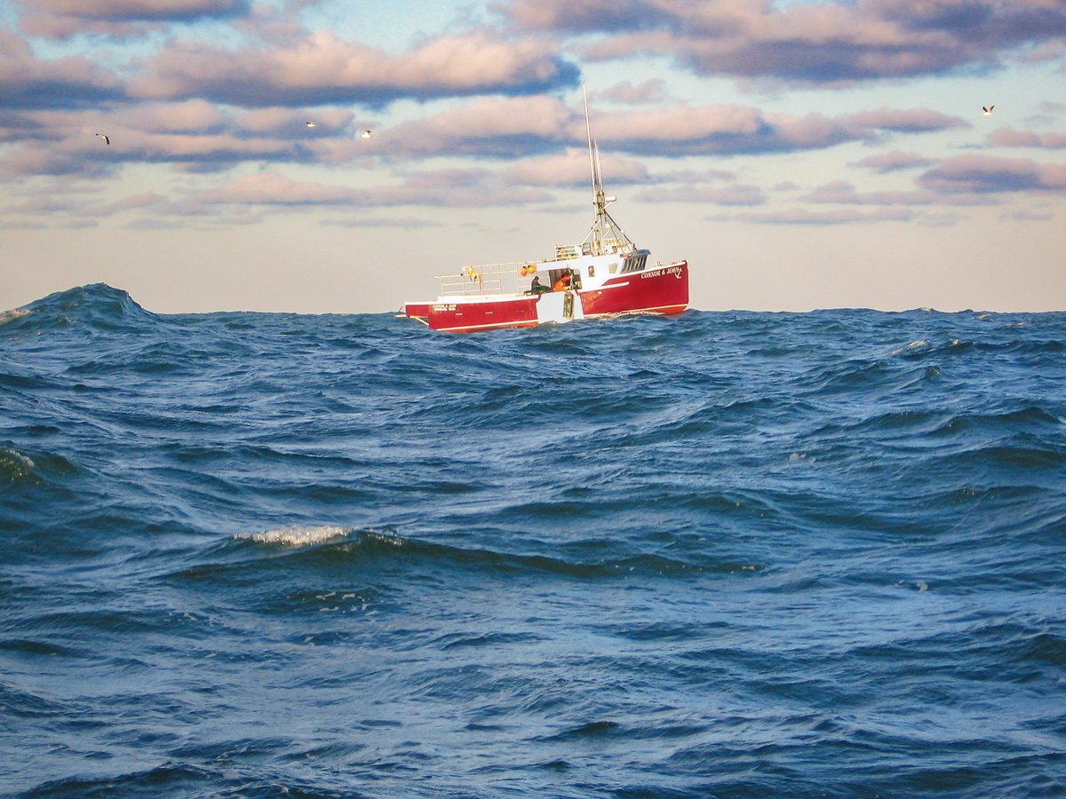 #lobsterfishing #sealisland #NovaScotia #fibreglassboat #fishingboat