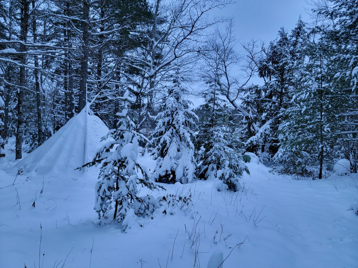 Mel7Labrador's tweet photo. My #winterwonderland2021 here in #kespukwitk. #wikuom #lnu #wildcatriver https://t.co/A5cv5wNW8F