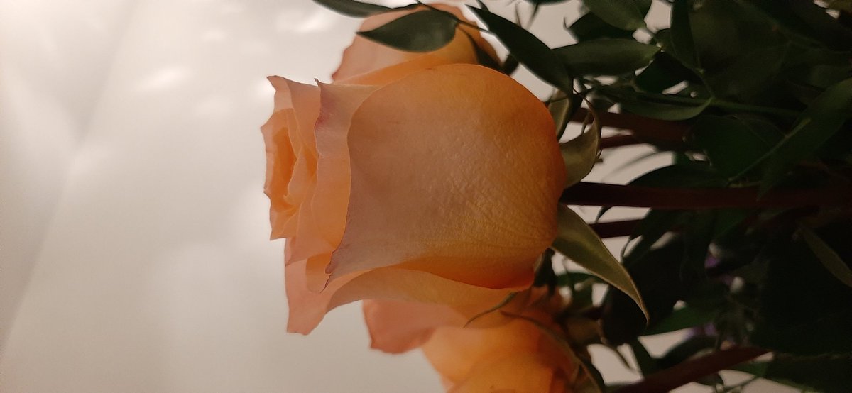 <a href="/a_de_st_exupery/">A de Saint Exupéry</a> "Une démocratie doit être une fraternité. Sinon, c'est une imposture."Écrits de Guerre 
<a href="/bgpilliet/">BGPilliet</a> <a href="/CharrieEleonore/">Eléonore Cr</a> <a href="/JFoteini/">JEAN Foteini</a> <a href="/CcaleWolf/">Cécile Calé</a> <a href="/AlainMonteux/">🧓🏼👴🏻👩‍🦽 Alain Monteux 🔴👼</a> <a href="/vdbeaufort/">Viviane de Beaufort</a> <a href="/hms_paris/">Hannah Marie Seidl</a> @Probe_IT_ <a href="/ThaimaSamman/">Thaima Samman</a> <a href="/claire_poirson/">claire poirson</a> <a href="/pascaldemurger/">Pascal Demurger</a> @PascalVoirand <a href="/hugo_weber/">Hugo Weber</a>