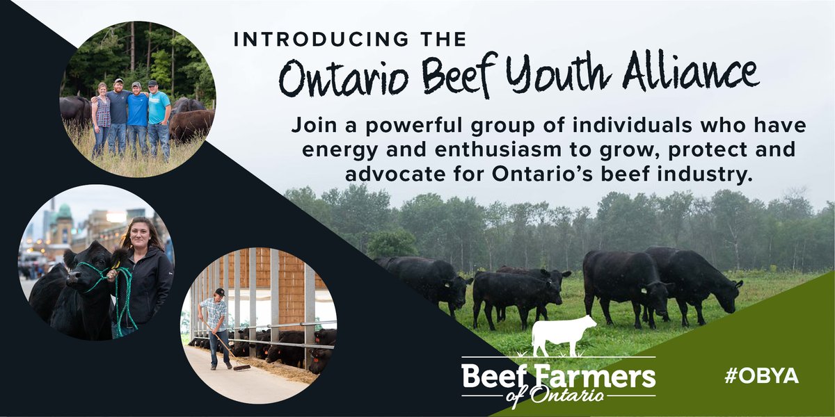 Beef Farmers of Ontario tweet media