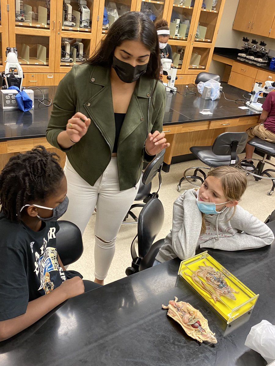 TeacherLTepe's tweet photo. #baylorscience lab tour kept us so engaged! We loved it! #svefutureready #stem https://t.co/gfRoqaFWqF