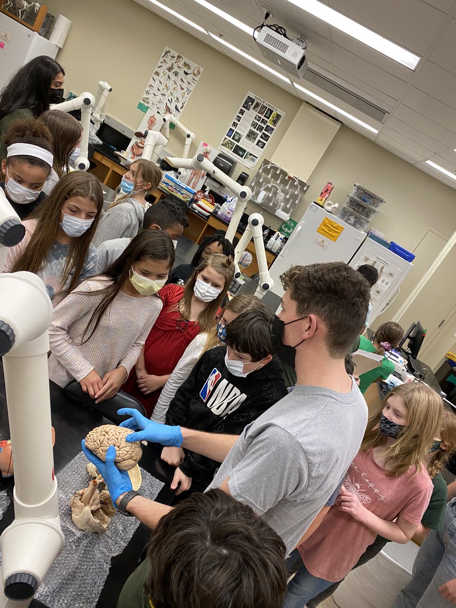 TeacherLTepe's tweet photo. #baylorscience lab tour kept us so engaged! We loved it! #svefutureready #stem https://t.co/gfRoqaFWqF