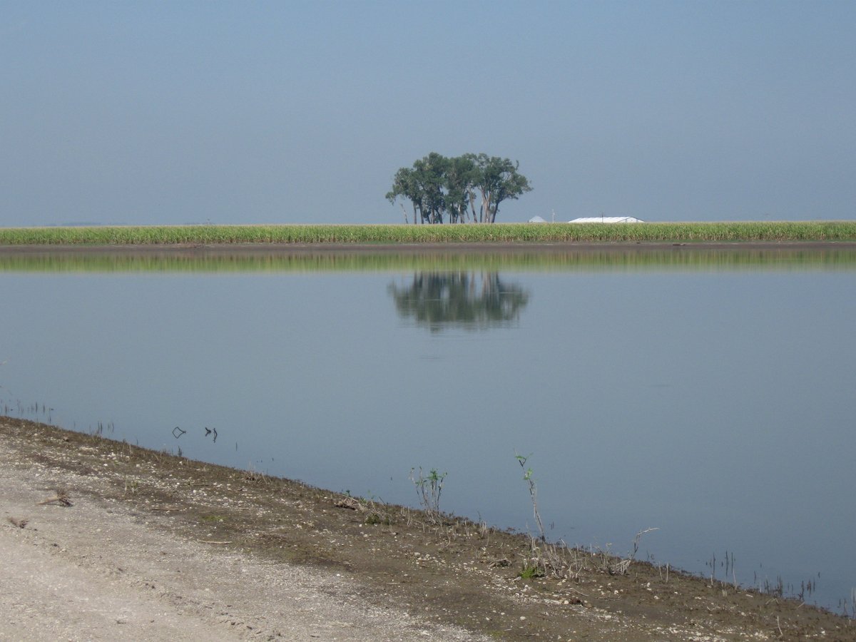 LowerElkhornNRD's tweet photo. The Maple Creek Watershed Plan is a planning document to evaluate flood reduction ideas that are technically and economically feasible, and socially acceptable across the area. #Since1972 #naturalresources #floodreduction -https://t.co/hrvhbYhAgX https://t.co/yiXxYesKPn