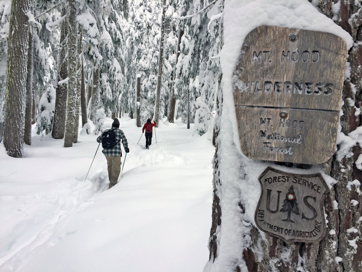 ForestServiceNW's tweet photo. Outdoor adventures don't need to end when the snows come. But it does mean we need to be prepared in some different ways. Check out these tips to ensure you'll be prepared to have a wonderful winter wander! https://t.co/8H7Qzhmm83 … https://t.co/hpb6mrgGDr