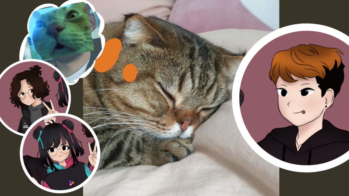 رابع اسبوع ننزل فيه في الموعد "القطة الفخوره"