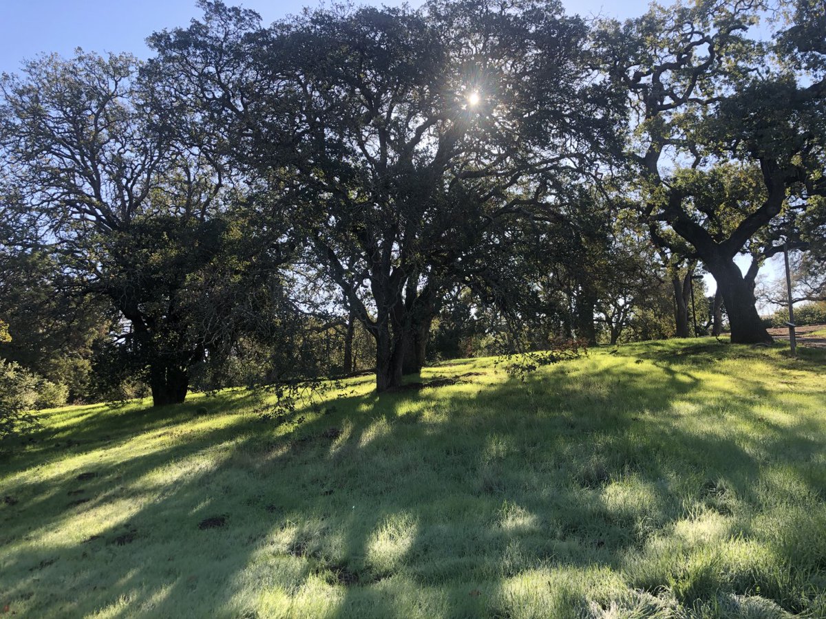 WestValleyCC's tweet photo. Another gorgeous day on campus! Register for winter or spring classes and enjoy these views all while achieving your educational goals!  https://t.co/SZpnQtKbvv #gowvc #gowest #lifeatwvc https://t.co/4xVUxKp2Qm